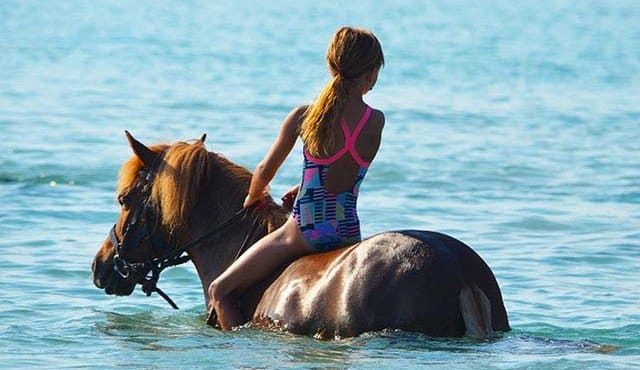 ferienhaus korsika aktivitaten